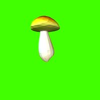 Porcini mushroom 160223 | 3D