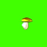 Porcini mushroom 120418 | 3D