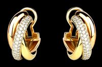 Beatrice earrings | 3D
