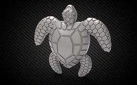 NEW MODEL Tortoise GOLD LOCKET | 3D