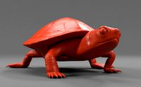 Baby Yellow bellied slider | 3D