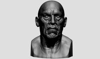 Danny Trejo Bust | 3D