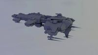 ferox | 3D