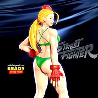 Street Fighter - Cammy | 3D
