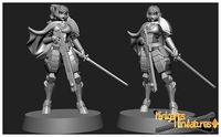 Firewarrior greater good anime figurine | 3D