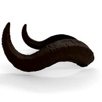 Large Wavy Horns - Kolsun | 3D