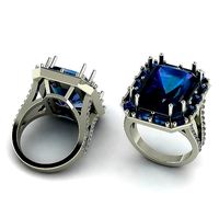 Ring 1110 | 3D