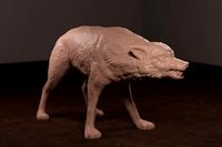 Growling Wolf | 3D
