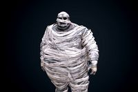 Mummy fat