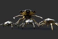 Swarm Collection