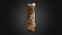 Woolly Rhino Metacarpal 2nd