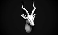 Gazelle Head | 3D