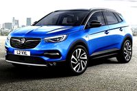 Opel - Vauxall Grandland X Tasca per Vasca porta oggetti 110mm | 3D