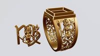 Virgo zodiac sign | 3D
