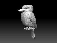 Blue Winged Kookaburra  | 3D