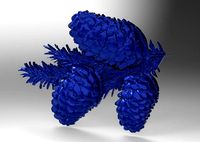 cedar cones | 3D
