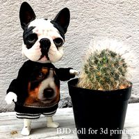 BJD doll for 3d printing is french bulldog | 3D