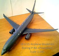 161215 Boeing P-8A Poseidon Down | 3D