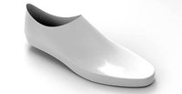 Shoe Moccasin | 3D
