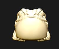 Angry Toad | 3D