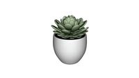 Vaso com suculenta