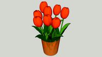 TULIP