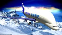 BELUGA