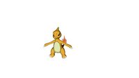 005 Charmeleon