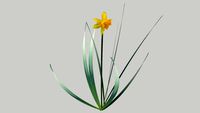 Simple Narcissus 3D demo model