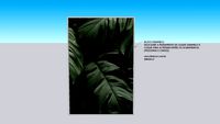 Quadro em tela canvas. Trio folhas tropicais 2