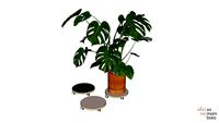 Suporte Monstera - Oficina Samambaia