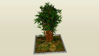 Arbusto bambu