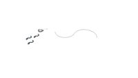 volutes