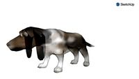 ghost dog