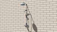 Lefroy Brooks classic black thermostat shower with hand shower and 8'rose