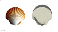 COQUILLAGE