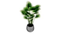 tree12