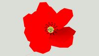 Poppy flower