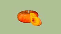 Alimento 24
