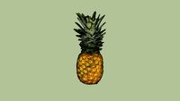 Alimento 16