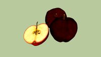 Alimento 04