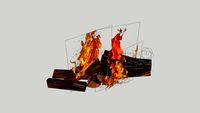 CAMP FIRE