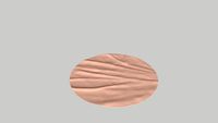 Silk Fabric