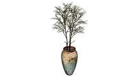 decor vaso seco enscape