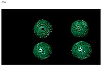 1 size stl beeds | 3D