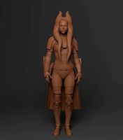 Togruta Jedi Sentinel Pose Printeable | 3D