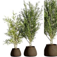 indoor plant stant 01