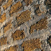 8k Seamless PBR Coquina Block Materia