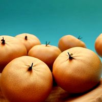 Simple Semi-Realistic Tangerine