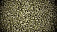 Pile of bones with moss